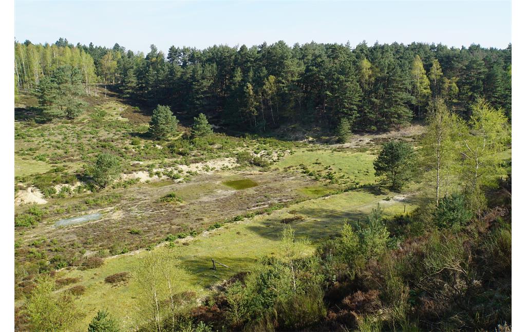 Ehemalige Sandgrube mit Heidelandschaft im Brachter Wald (2018)