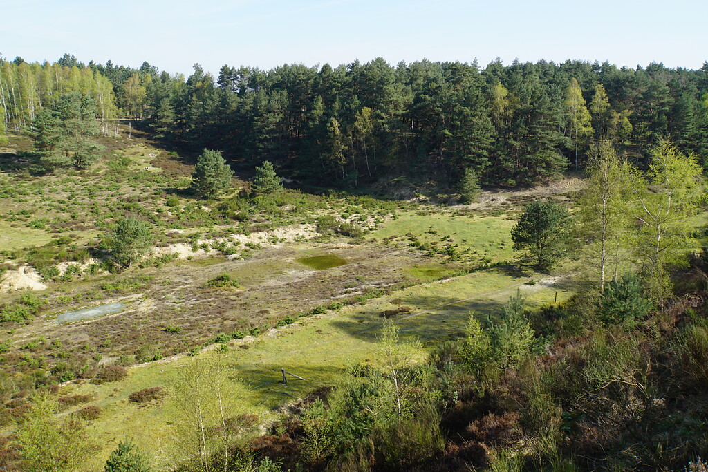Ehemalige Sandgrube mit Heidelandschaft im Brachter Wald (2018)