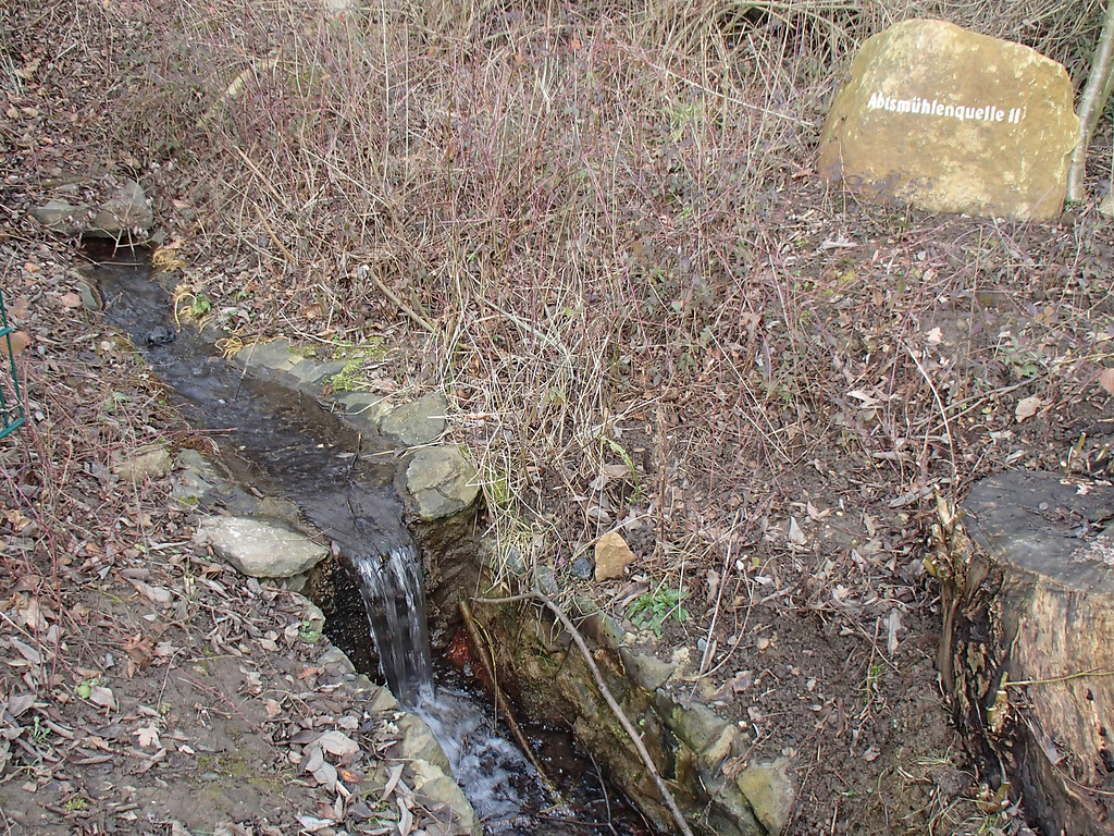 Abbildung 2:Austritt Grundwassersammler (Abtsmühlenquelle II) (2014)