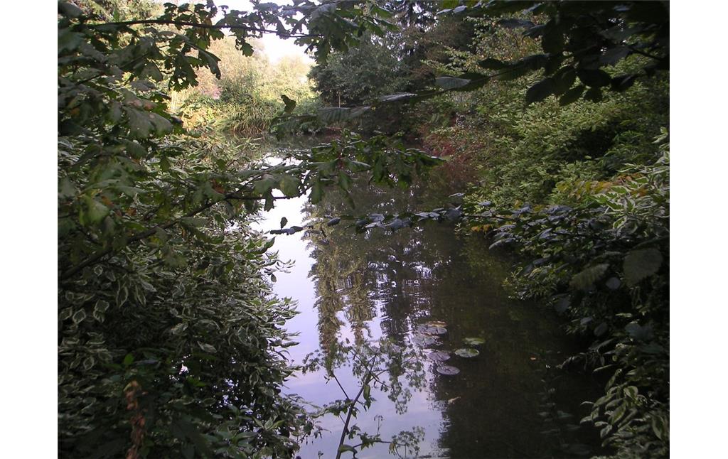 Teich auf historischem Standort in Oberwinterhagen (2007)