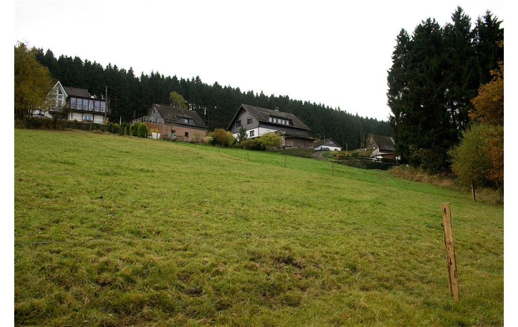Blick vom Tal der Sülz auf Leiberg (2013)