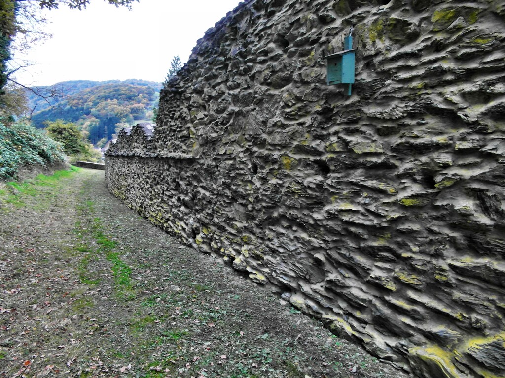 Ehemalige Stadtmauer Dausenau (2013)