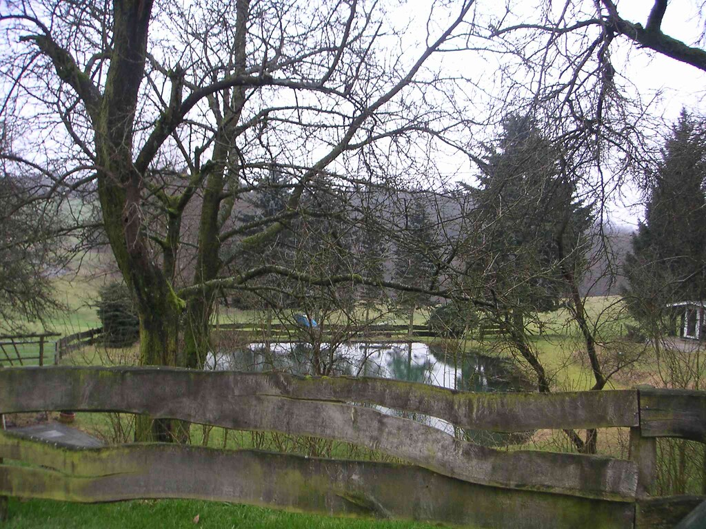 Umzäunter Teich mit Baumbestand in Espert (2008)