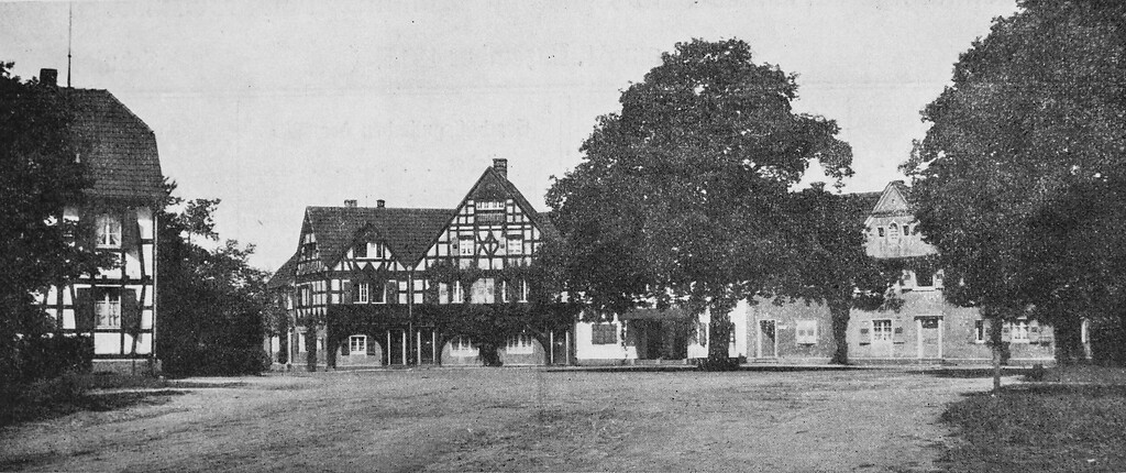 Panoramaaufnahme mit der Stieleiche auf dem Eichplatz Gronauer Wald (um 1910)