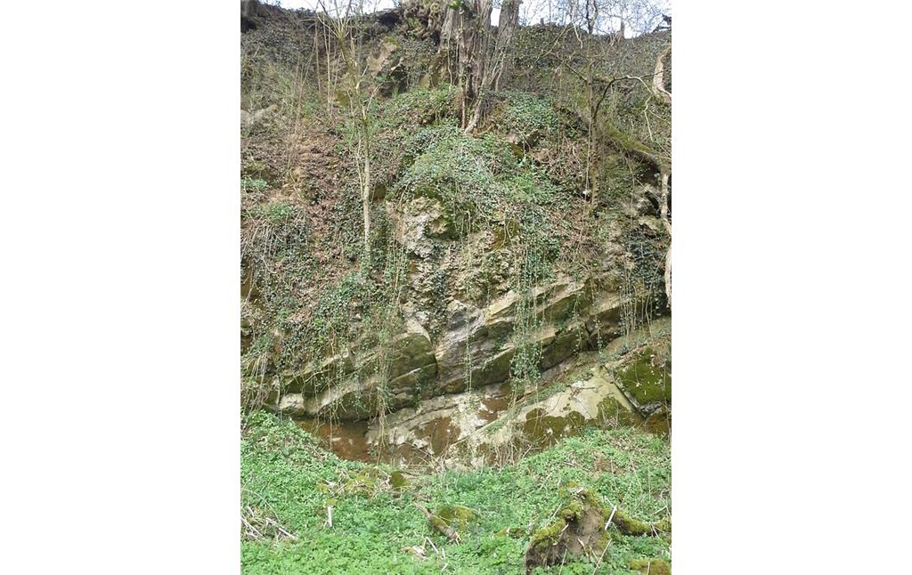 Naturschutzgebiet "Ehemaliger Kalksteinbruch bei Eichhof" (2019)