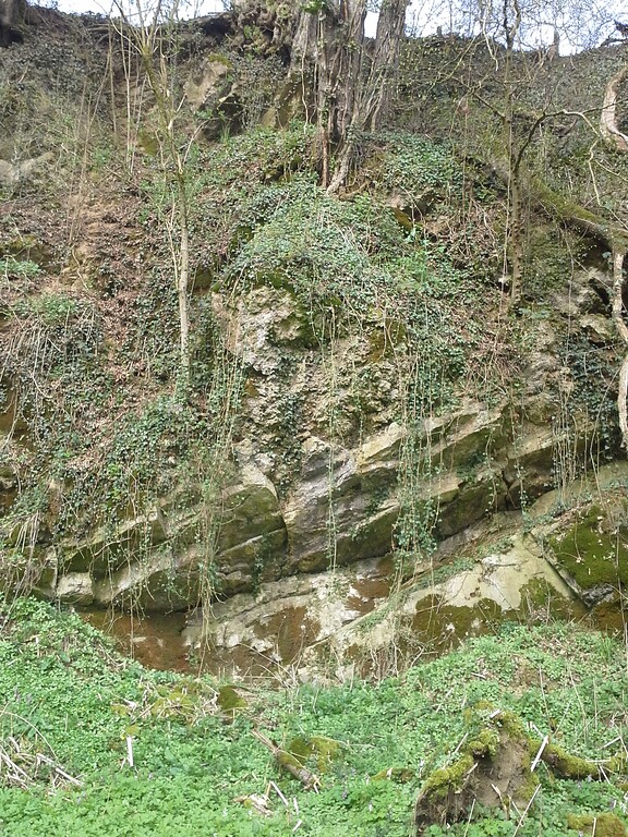 Naturschutzgebiet "Ehemaliger Kalksteinbruch bei Eichhof" (2019)