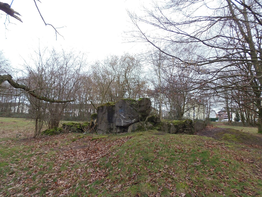 Reste von Bunkerruinen auf dem Standortübungsplatz Brander Wald zwischen Aachen-Brand und Stolberg-Münsterbusch, die Teil des sogenannten "Westwalls" waren (2018).