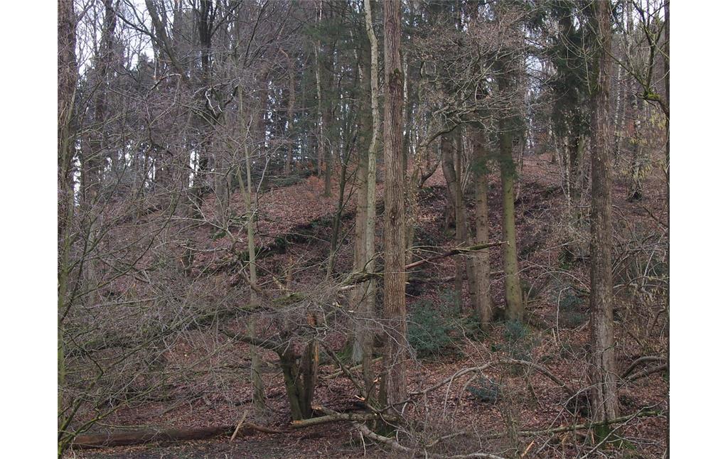 Steinbruch Oberfeld: An der linken Bruchflanke sind Felsrippen zu erahnen. (2018)
