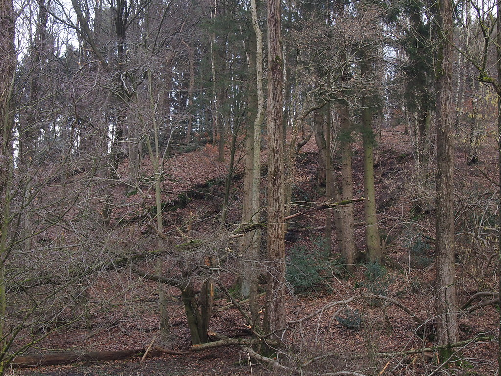 Steinbruch Oberfeld: An der linken Bruchflanke sind Felsrippen zu erahnen. (2018)