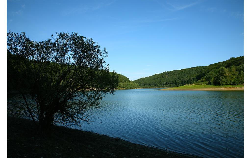 Die Wasserfläche der Wuppertalsperre, umgeben von Wald (2008).