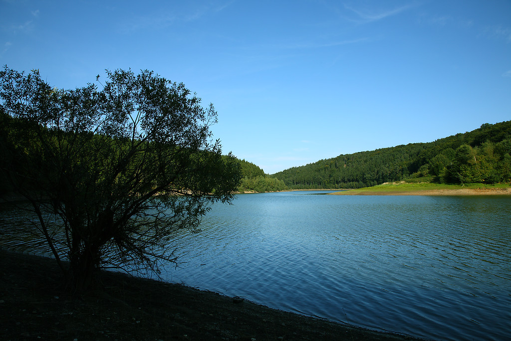 Die Wasserfläche der Wuppertalsperre, umgeben von Wald (2008).