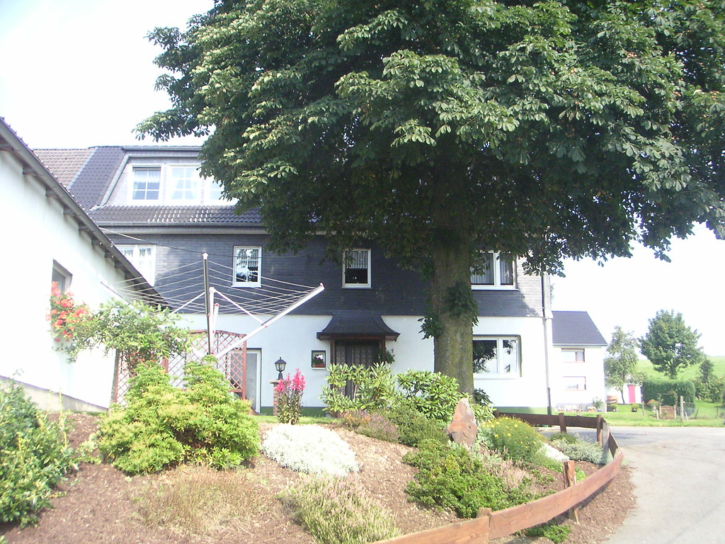 Wohnhaus des landwirtschaftlichen Hofes mit Hofbaum in Ahlhausen (2008)