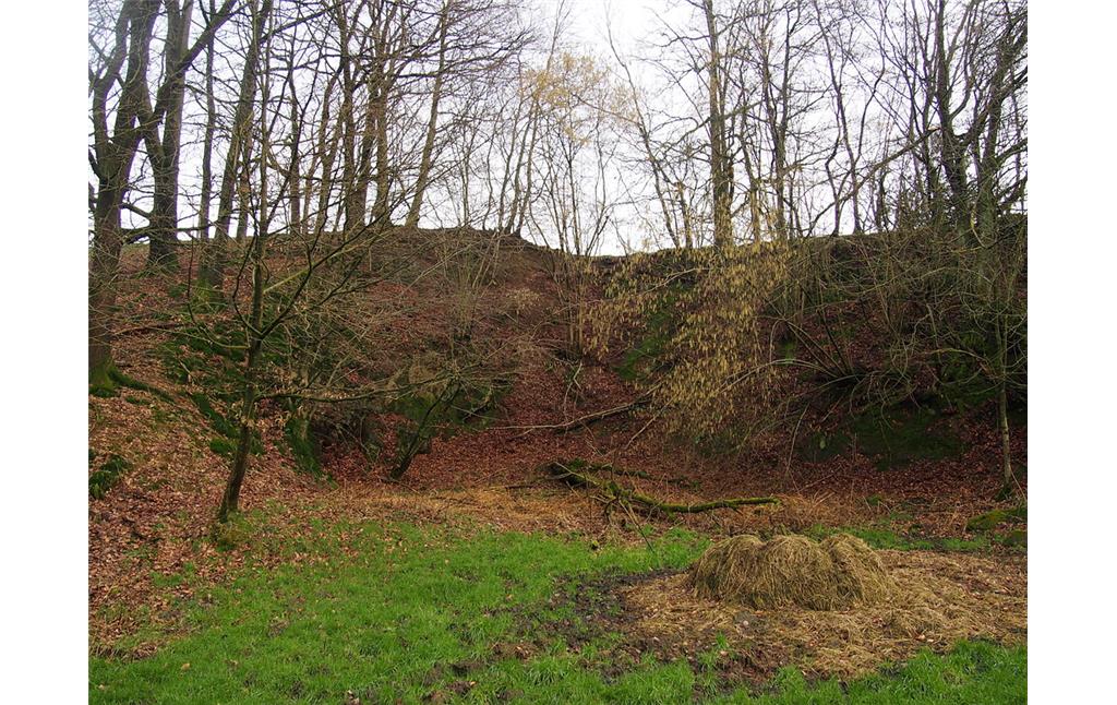 Steinbruch Bonnersüng 2 bei Hartegasse. Ansicht des Steinbruchkessels.  (2018)