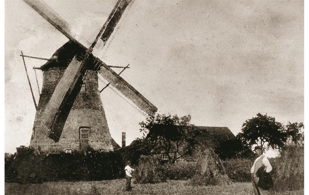 Brauweiler Windmühle mit Flügeln ca. 1904