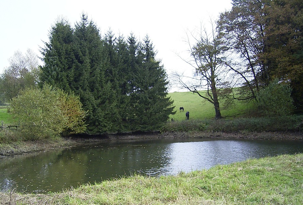 Teich in Schneppendahl (2007)
