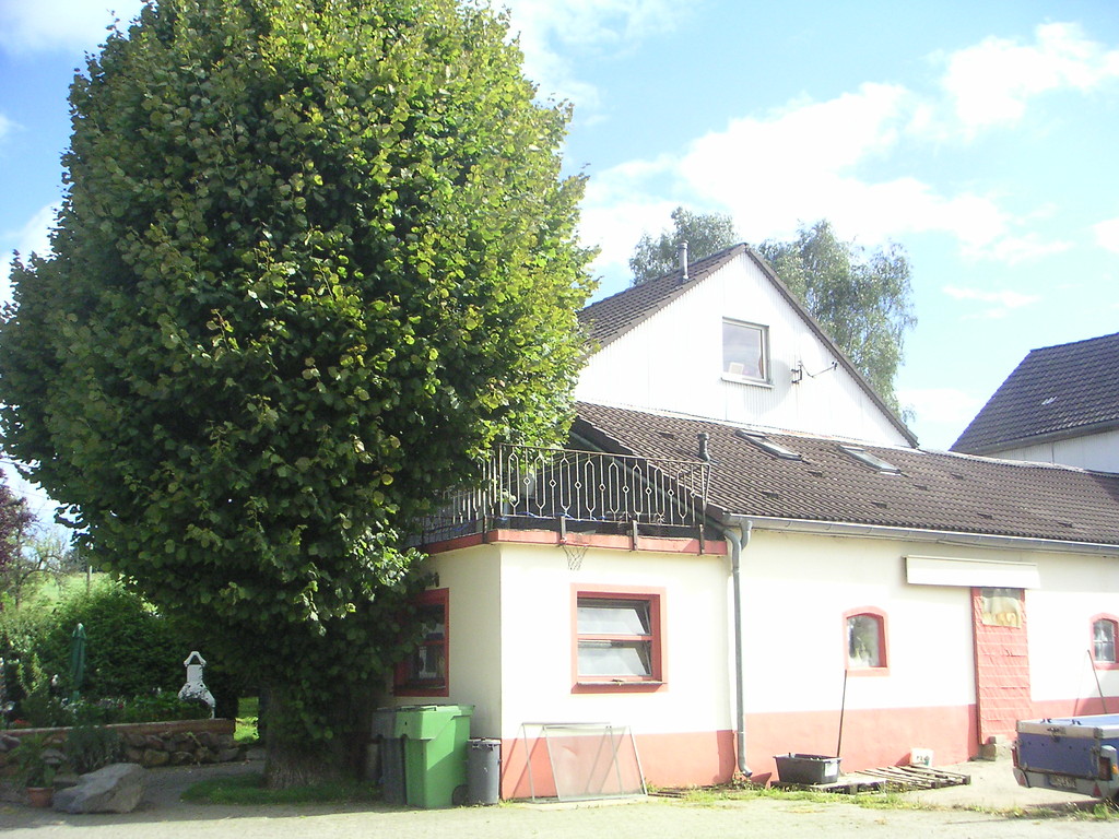 Historisches Gebäude in Beinghausen mit Hauslinde (2008)