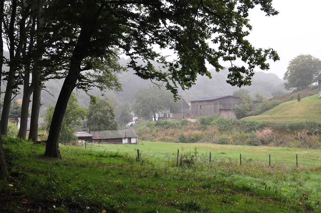 Blick auf Vordermühle vom Bauernwäldchen aus (2013)