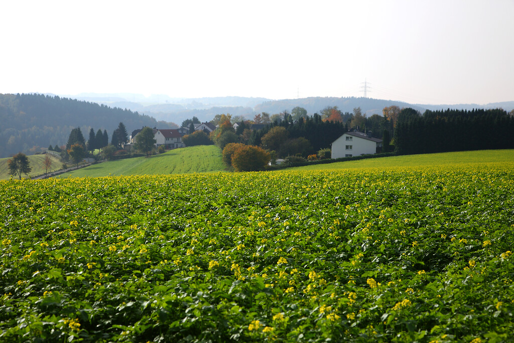 Blick über die Felder auf den Weiler Honsberg (2008)