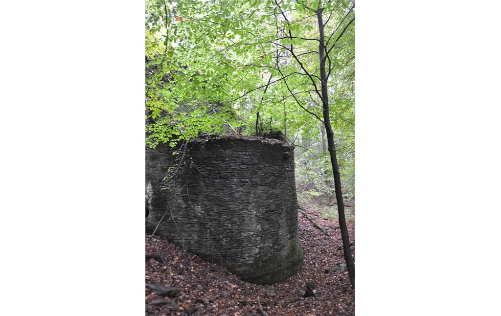 Nordflanke mit Resten eines Wachtturms der Burg Neuenberg, Lindlar (2014)
