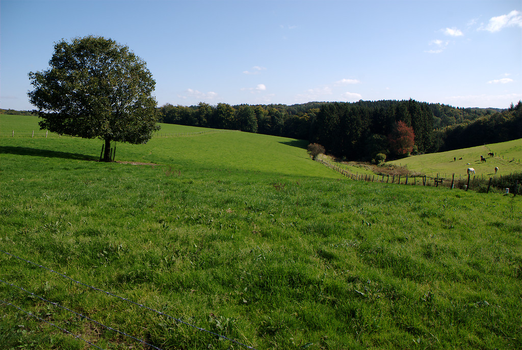 Landschaft bei Oberburghof (2008)