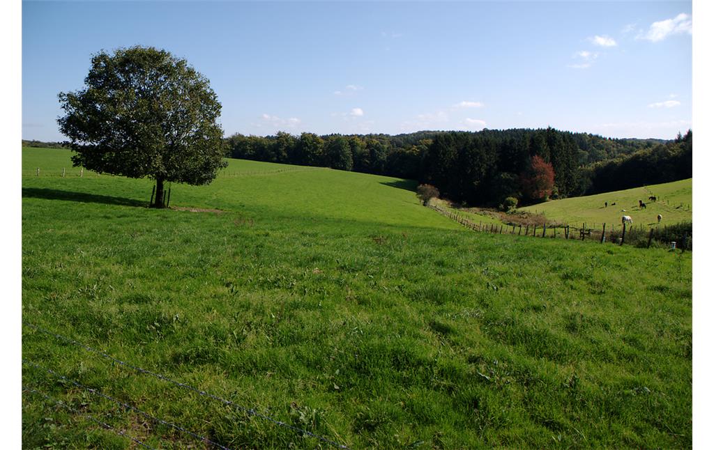 Landschaft bei Oberburghof (2008)