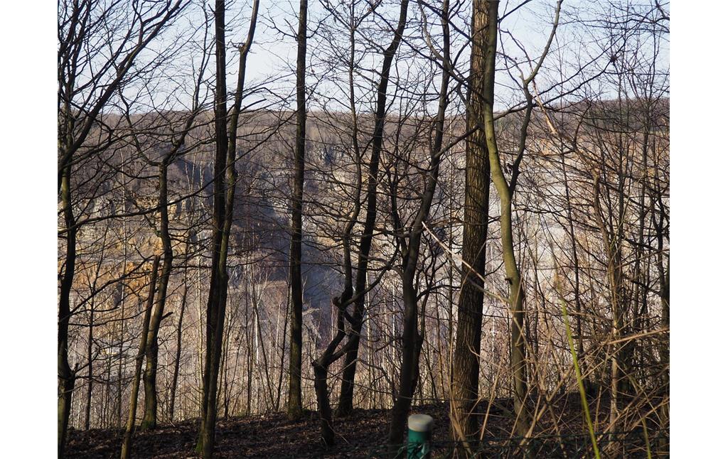 Im Winter kann man von der Rützkausener Straße einen Blick durch die Bäume auf den sonst streng abgeschirmten Bruch Rohdenhaus werfen (2021)