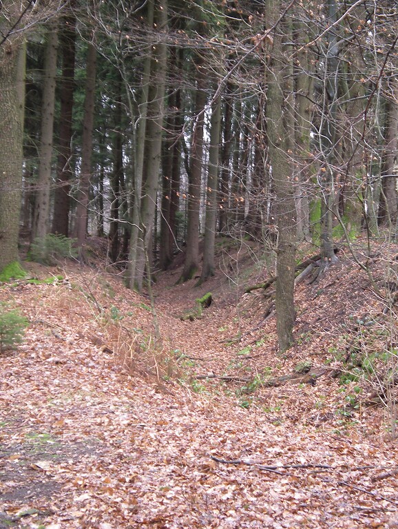 Hohlweg eines alten Wegesystems bei Oberste Mühle (2008)