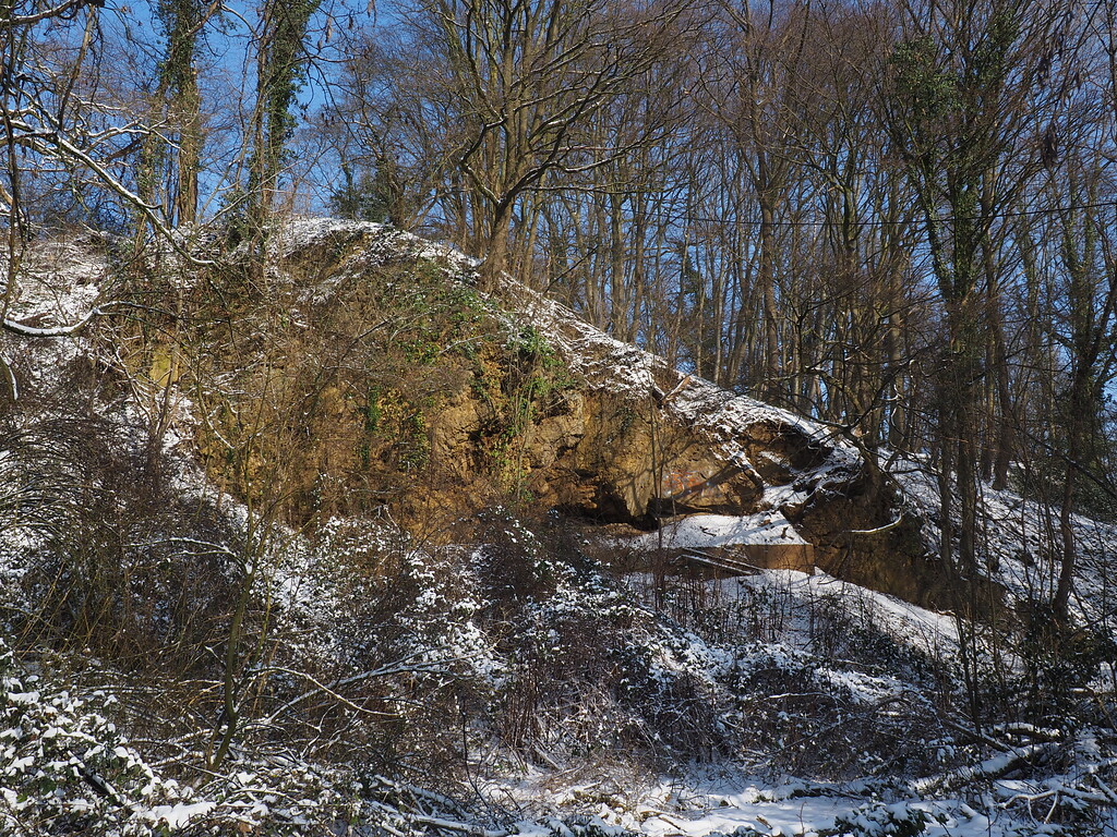 Kalksteinbruch 5 in Haan-Gruiten (2021)