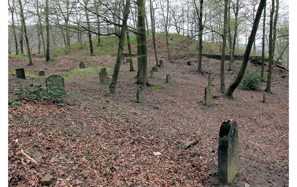 Alter Jüdischer Friedhof in Bad Breisig-Rheineck (2013)