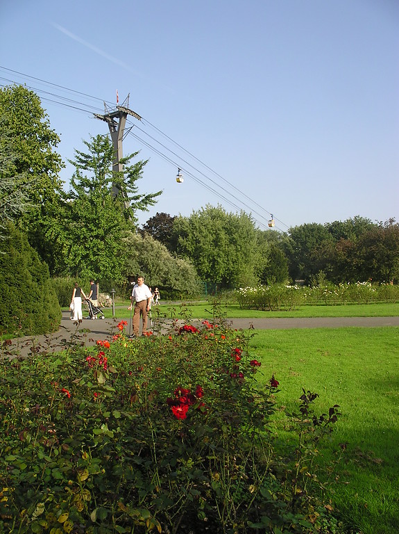 Der Rheinpark in Köln-Deutz