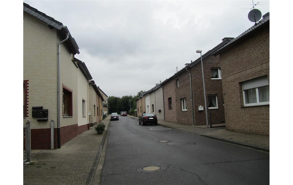 Doppelhäuser in der Kolonie Pingsdorf am unteren Teil der Maiglerstraße (2014)