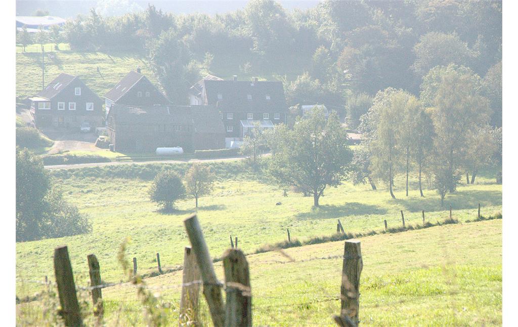 Blick auf den Weiler Knefelsberg (2008)