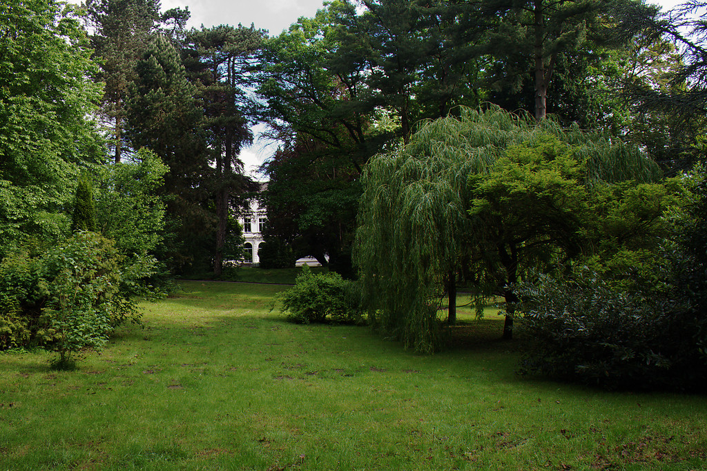 Nördlicher Parkbereich mit Villa Pauli (2014)