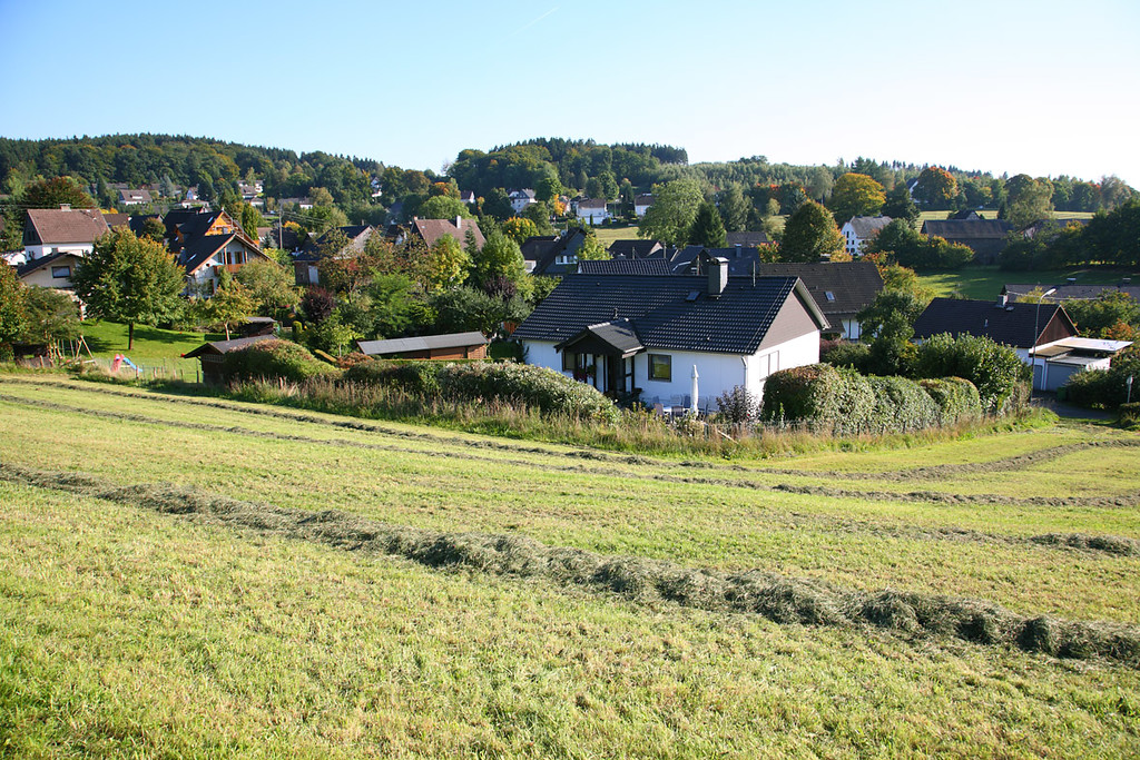 Kalsbach umgeben von Grünland und Wald (2008)