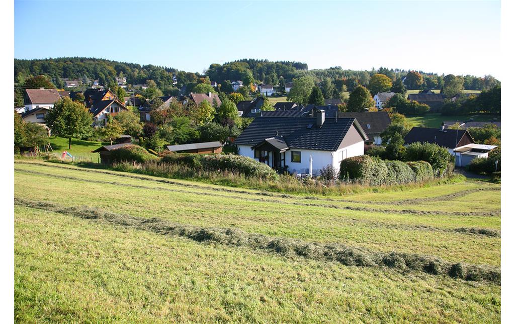 Kalsbach umgeben von Grünland und Wald (2008)
