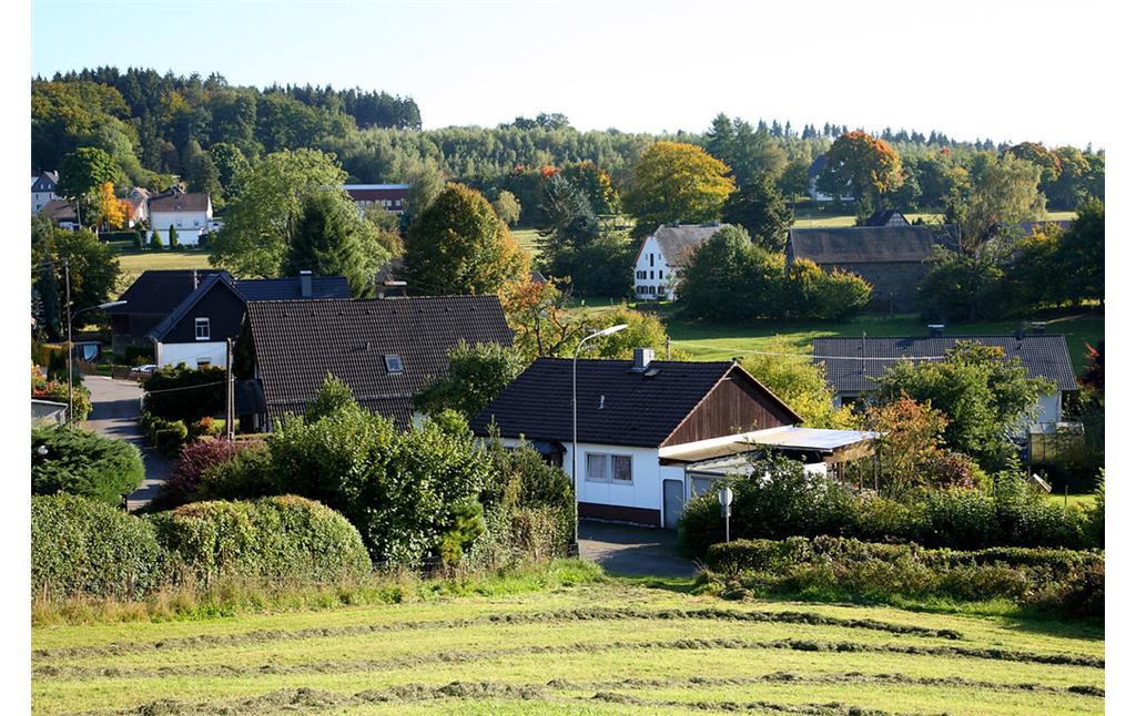 Blick auf den Weiler Kalsbach und den Paffenhof (2008)