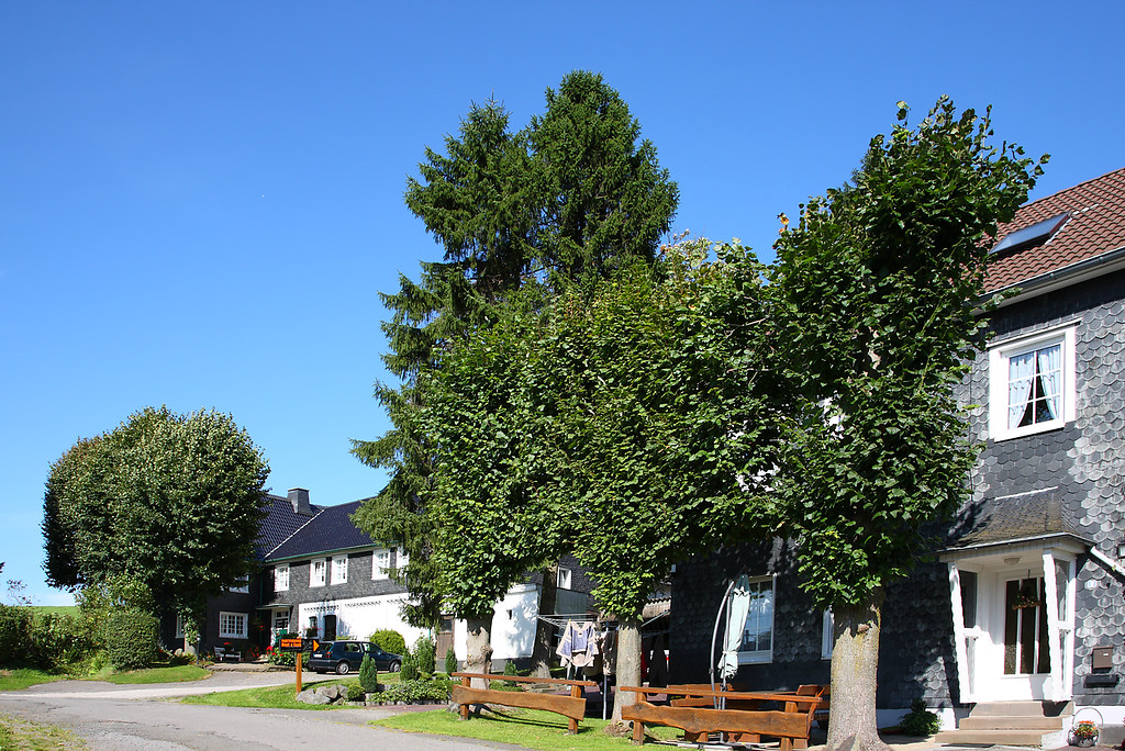 Wohnhäuser mit historischer Bausubstanz und Hausbäumen in Engelshagen (2008)