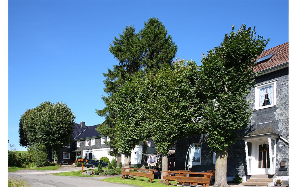 Wohnhäuser mit historischer Bausubstanz und Hausbäumen in Engelshagen (2008)