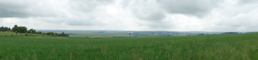 Blick nach Nordosten auf die Voreifellandschaft südwestlich von Zülpich (2016).