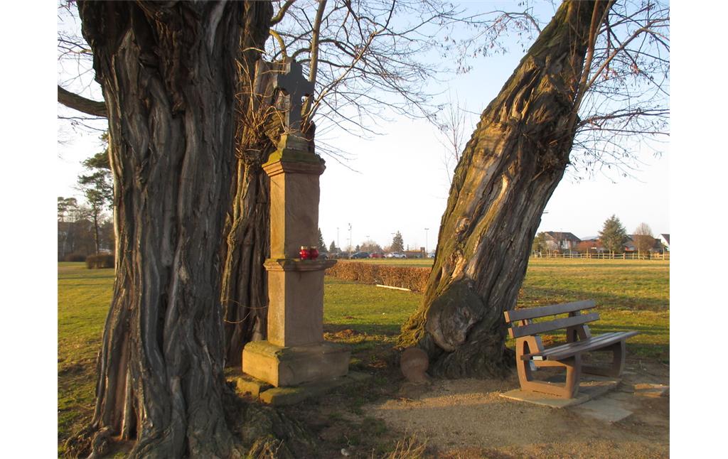 Baumgruppe mit Sandsteinkreuz am Kloster Marienborn in Hoven (2015)