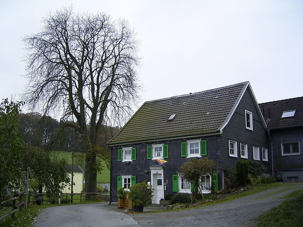 Ältester Hofstandort in Sohl (2007)