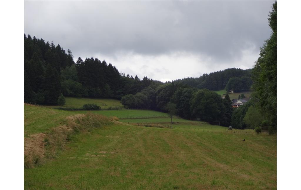 Ackerterrassen zwischen Wald und Baumreihe bei Wolfert (2015).