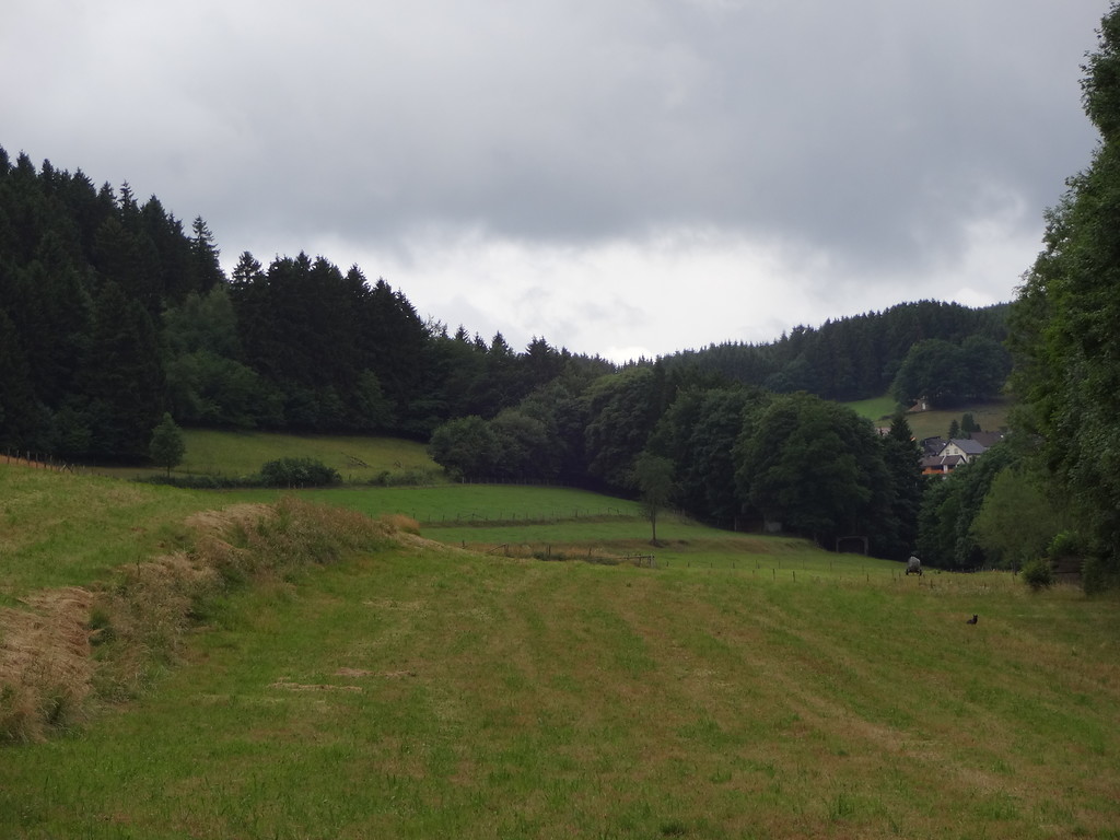 Ackerterrassen zwischen Wald und Baumreihe bei Wolfert (2015).