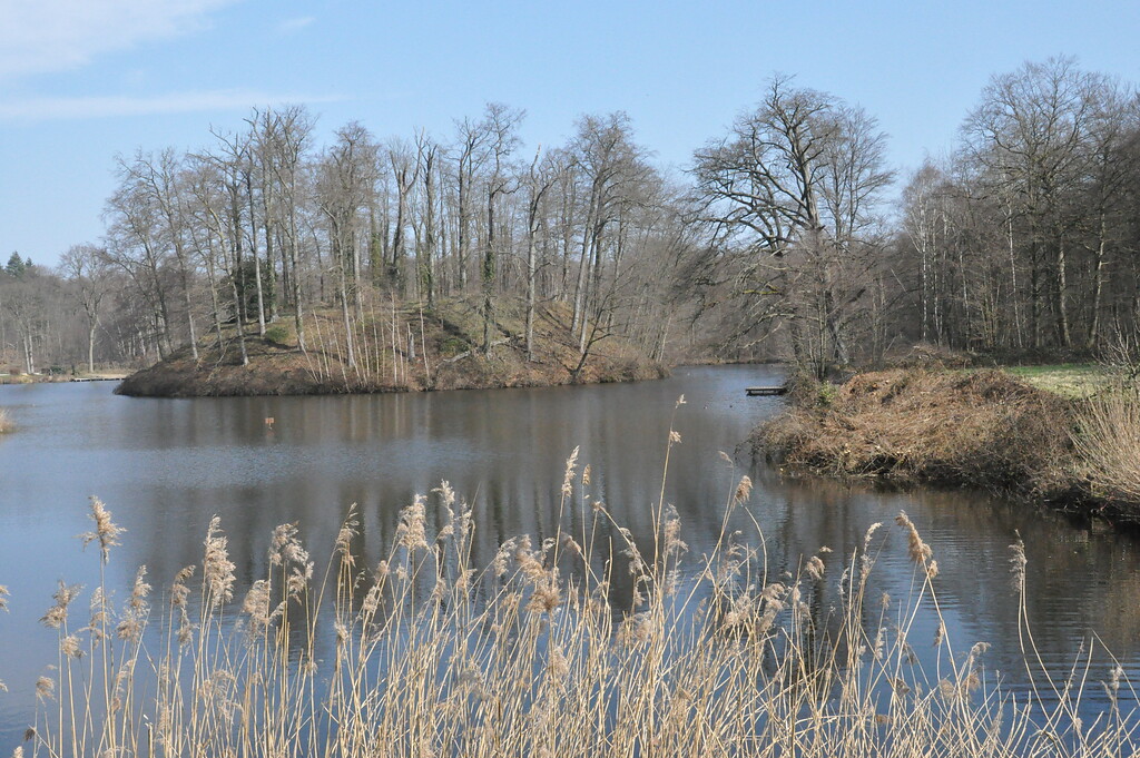 Auf dem Mottenhügel sind noch wenige Reste der spätmittelalterlichen Wasserburganlage Tüschenbroich erhalten (2021)