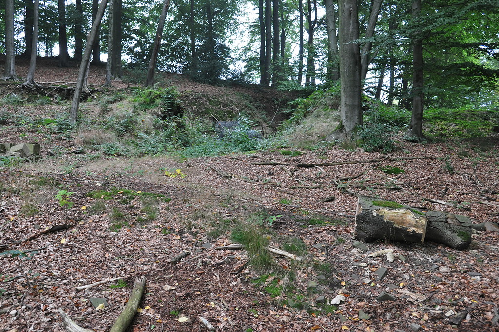 Abbaukanten und Abraumhalden des Kalksteinbruches bei Vordermühle (2013)