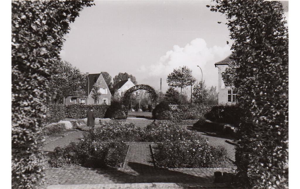 Rees, Im Stadtgarten (etwa 1955). Der Rosengarten