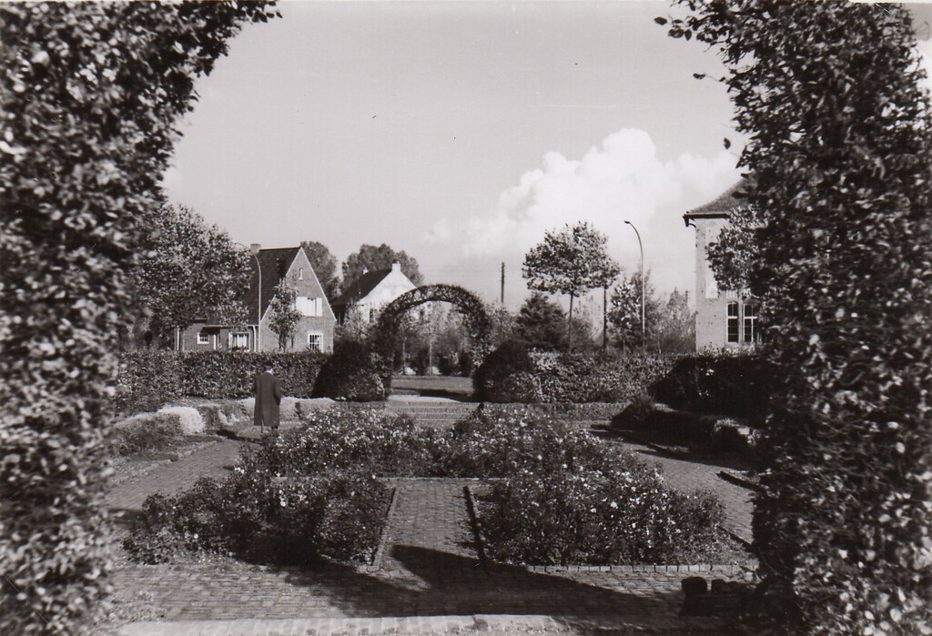 Rees, Im Stadtgarten (etwa 1955). Der Rosengarten