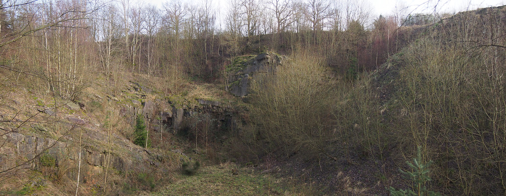 Im Steinbruch Hagen 1 wurden große Mengen Material angefüllt wie an der Halde rechts zu erkennen ist. (2018)