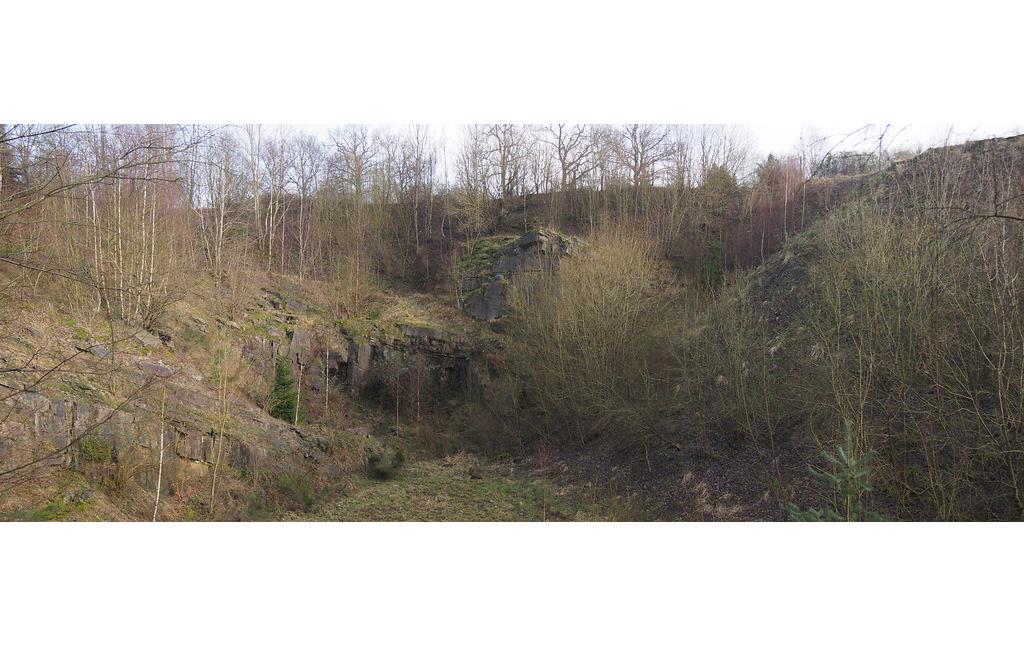 Im Steinbruch Hagen 1 wurden große Mengen Material angefüllt wie an der Halde rechts zu erkennen ist. (2018)