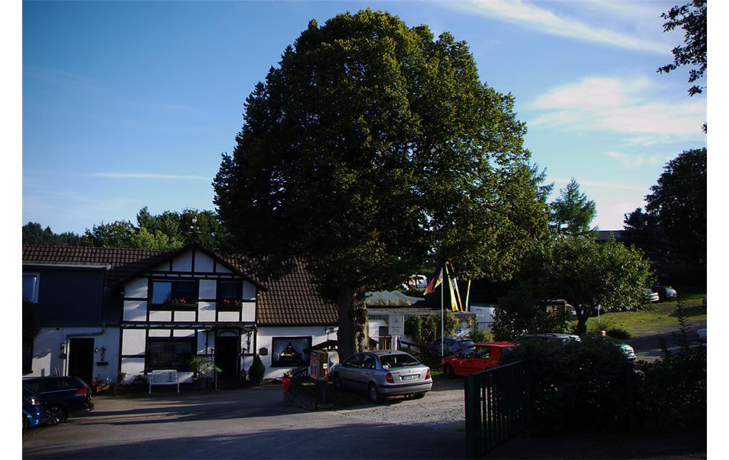 Strandcafé in Wefelsen mit Hofbaum (2007)